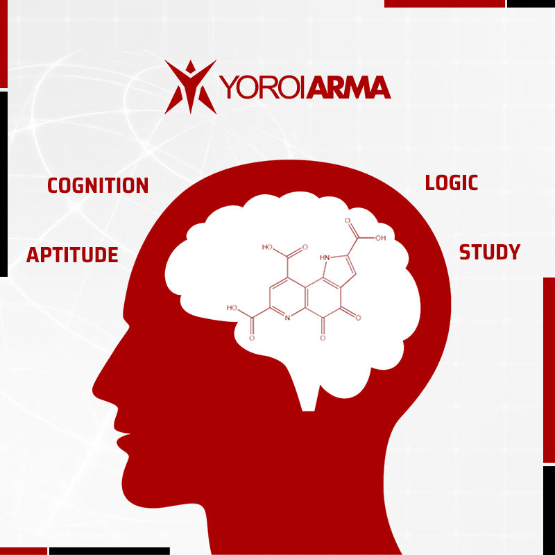Pyrroloquinoline Quinone USA - YoroiArma